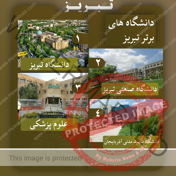 دانشگاه‌های تبریز